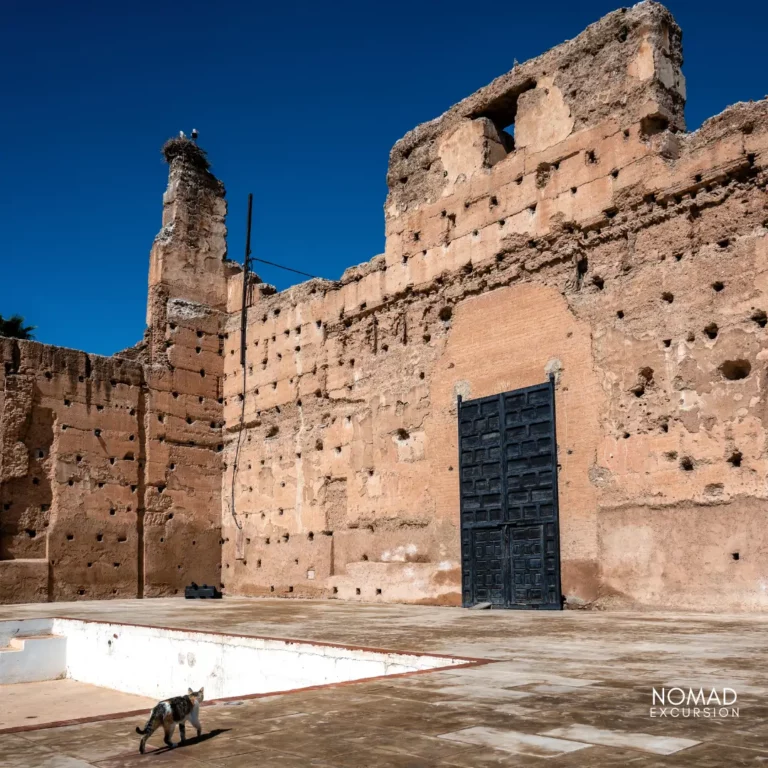 El Badi Palace Guided Tours and Tickets.