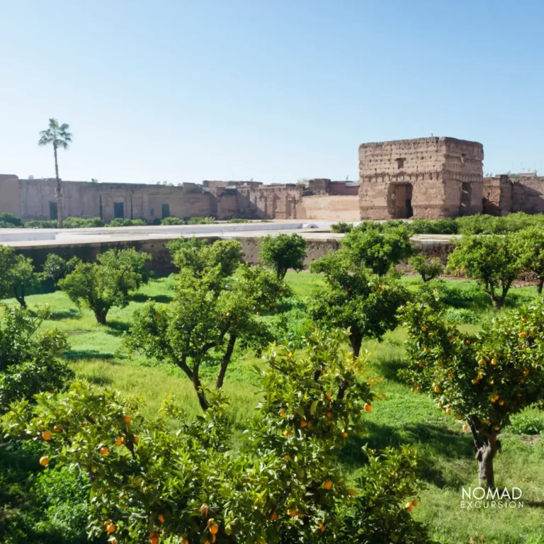 El Badi Palace Guided Tours and Tickets.