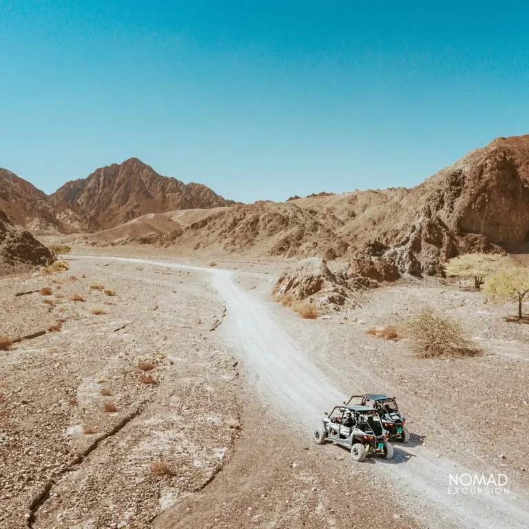 Buggy Marrakech