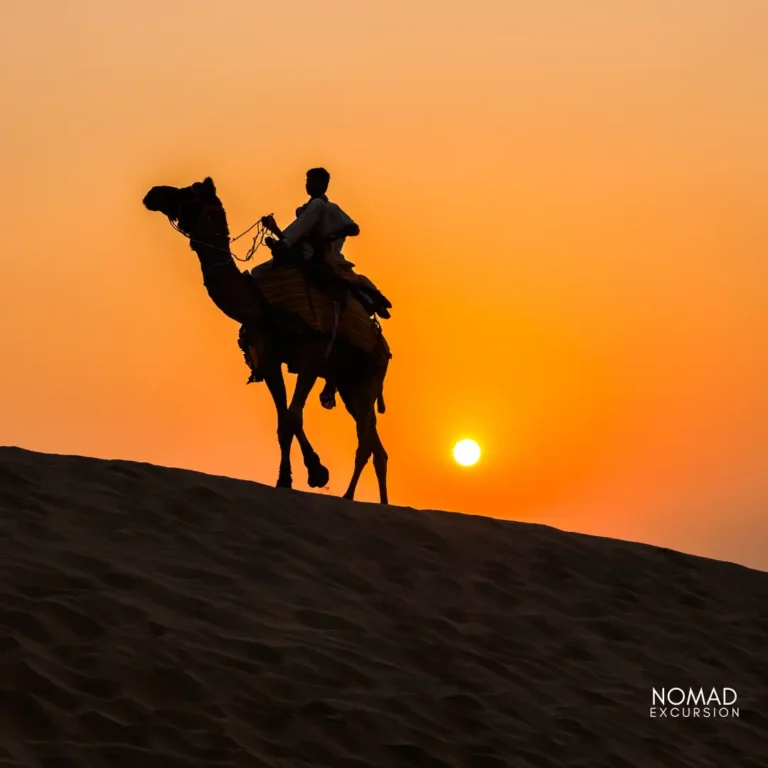 Camel Ride Marrakech