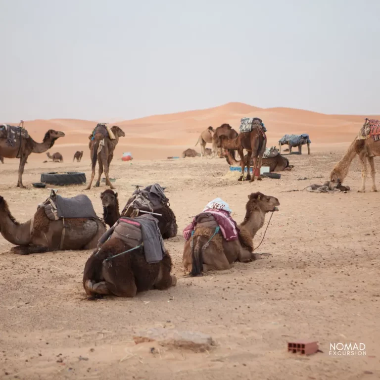 3 Days Merzouga Desert Tours from Marrakech