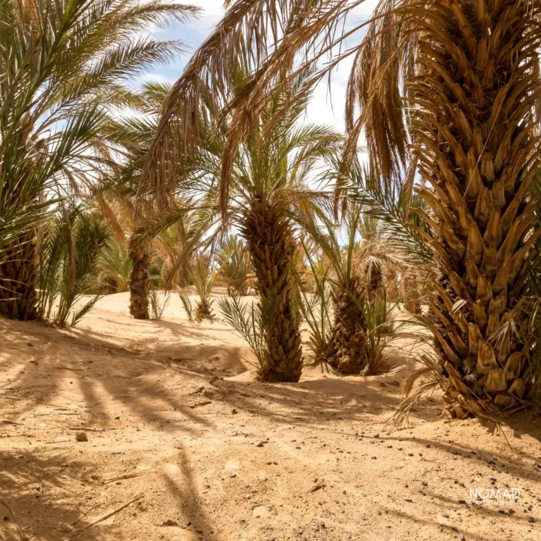 3 Days Merzouga Desert Tours from Marrakech