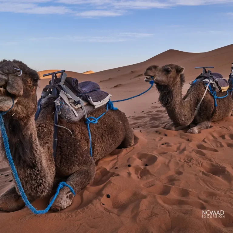 3 Days Merzouga Desert Tours from Marrakech