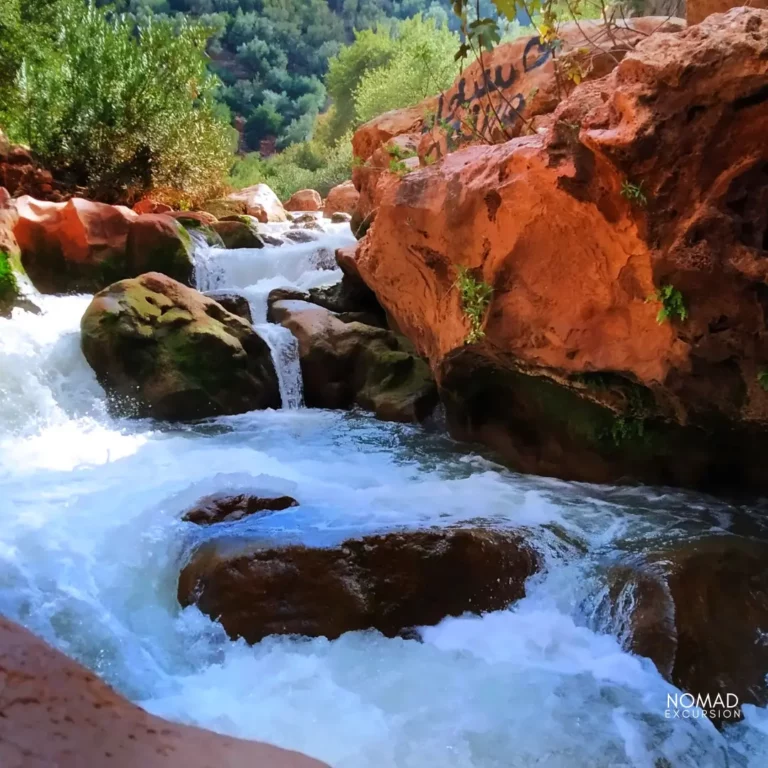 Ouzoud Waterfalls Day trip from Marrakech