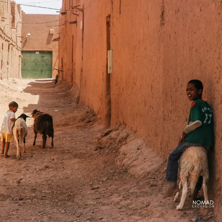 2 Days Zagora Desert Tours from Marrakech