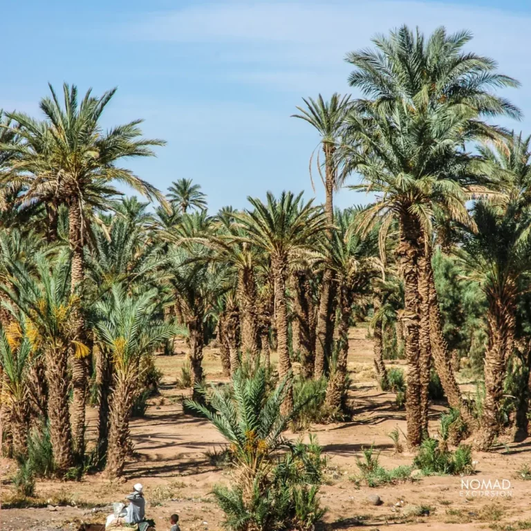 2 Days Zagora Desert Tours from Marrakech